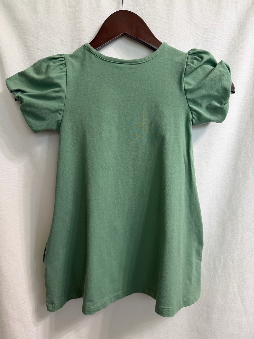 Hanna Andersson Green Puff Sleeve A-Line Dress Size 4